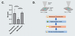 3D-stereoscopic-reconstruction-workflow